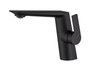 Royal Meadow Single Handle Lavatory Faucet in Matte Black
