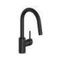 Grohe Concetto 1.75 GPM Single Hole Pull Down Bar Faucet