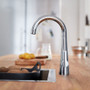 Grohe Zedra 1.75 GPM Single Hole Cold Water Dispenser - Less Filter