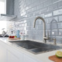 Grohe Zedra 1.75 GPM Single Hole Cold Water Dispenser - Less Filter