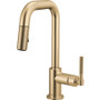 Brizo Litze 1.8 GPM Single Hole Pull Down Prep/Bar Faucet
