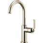 Brizo Litze Single Handle Bar Faucet