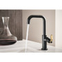 Brizo Litze Single Handle Bar Faucet