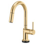 Brizo Odin 1.8 GPM Single Hole Pull Down Prep/Bar Faucet with Arc - Less Handle