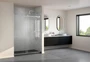 Fleurco Horizon Alcove Shower Door 56-60"