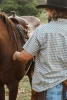 calvert-check-light-brown-shirt