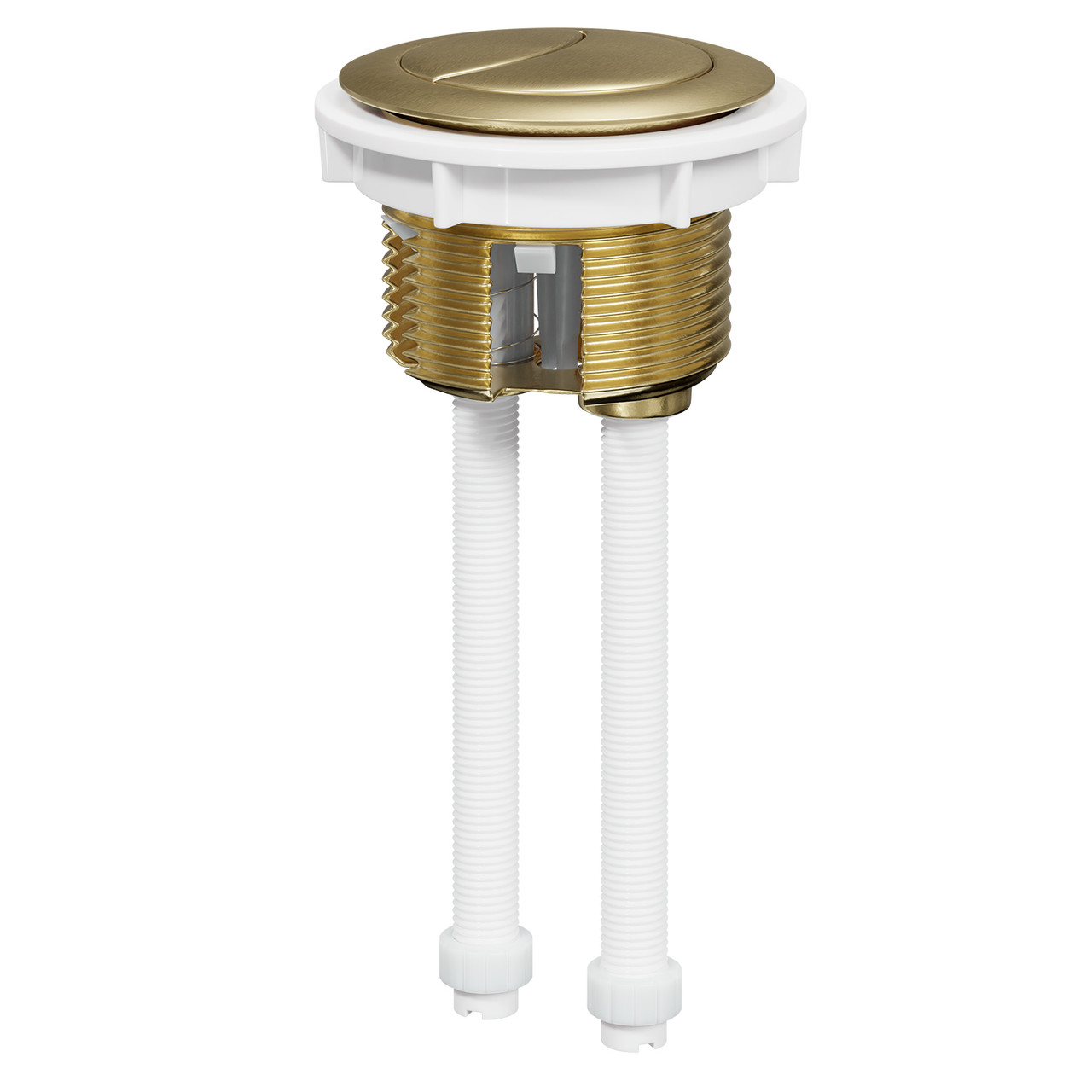 Colore Round Brushed Brass 48mm Dual Flush Push Button - Wholesale Domestic