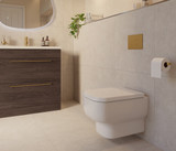 What Is a Rimless Toilet? Everything You Need to Know Before You Buy
