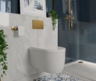 What Is a Dual-Flush Toilet and How Do They Work?