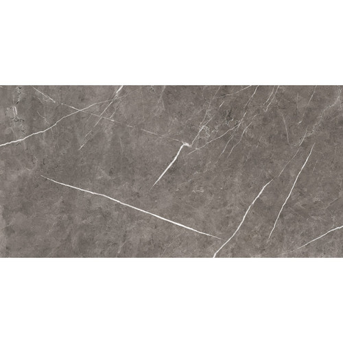 Theatre Polished Stone 60cm x 120cm Porcelain Wall and Floor Tile