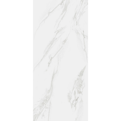 RAK Classic Carrara Grey Matt 60cm x 120cm Porcelain Wall and Floor Tile - A12GZCRR-GRY-M0X5R - Product View