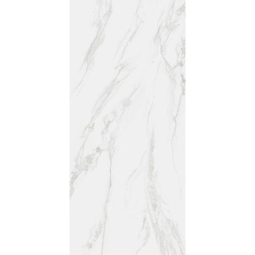 RAK Classic Carrara Grey Matt 60cm x 120cm Porcelain Wall and Floor Tile - A12GZCRR-GRY-M0X5R - Product View Showing Variance