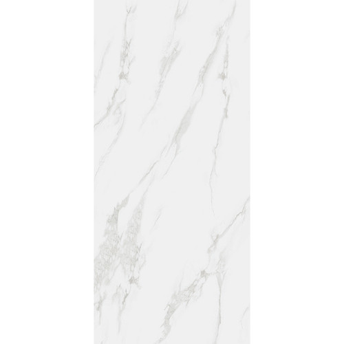 RAK Classic Carrara Grey Matt 60cm x 120cm Porcelain Wall and Floor Tile - A12GZCRR-GRY-M0X5R - Product View Showing Variance