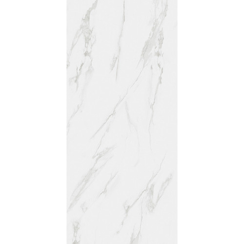 RAK Classic Carrara Grey Matt 60cm x 120cm Porcelain Wall and Floor Tile - A12GZCRR-GRY-M0X5R - Product View Showing Variance