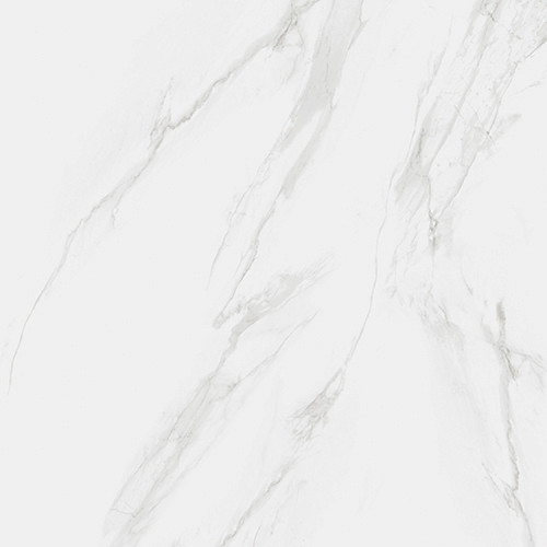 RAK Classic Carrara Grey Matt 120cm x 120cm Porcelain Wall and Floor Tile - A22GZCRR-GRY-M0X5R - Product View