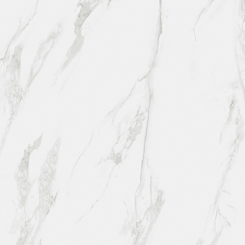 RAK Classic Carrara Grey Matt 120cm x 120cm Porcelain Wall and Floor Tile - A22GZCRR-GRY-M0X5R - Product View Showing Variance