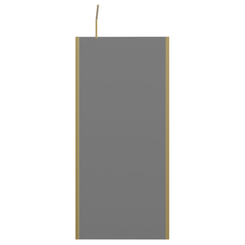 Colore 8mm Smoked Glass Brushed Brass 1950mm x 900mm Walk In Shower Screen including Wall Channel with End Profile and Support Bar Front View