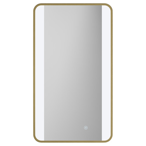 Colore Wade Brushed Brass 400mm x 700mm Illuminated Dimmable LED Mirror with Demister and Touch Sensor Front View