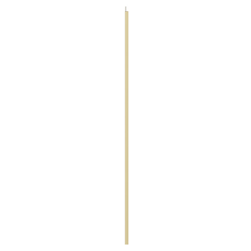 Colore 10mm Clear Glass Brushed Brass 2000mm x 250mm Walk In Fixed Return Shower Screen Side on View