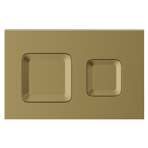 Vienna Colore Brushed Brass Dual Flush Plate with Square Buttons View from Front
