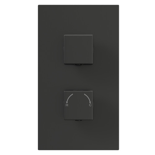 Colore Square Gunmetal Grey Concealed Twin Thermostatic Shower Valve - 1 Outlet View from Front