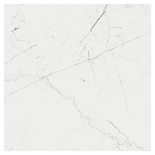 Marmo Thassos White Matt 80cm x 80cm Porcelain Wall and Floor Tile Swatch 5