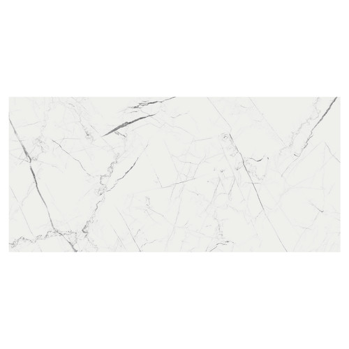 Marmo Thassos White Matt 60cm x 120cm Porcelain Wall and Floor Tile Swatch