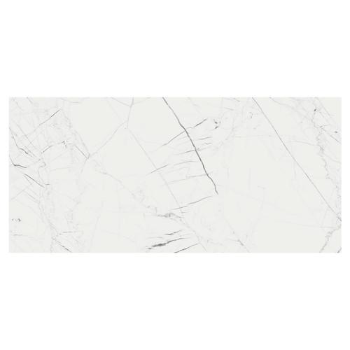 Marmo Thassos White Matt 60cm x 120cm Porcelain Wall and Floor Tile Swatch 2