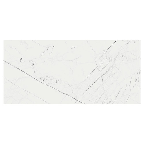 Marmo Thassos White Matt 60cm x 120cm Porcelain Wall and Floor Tile Swatch 5