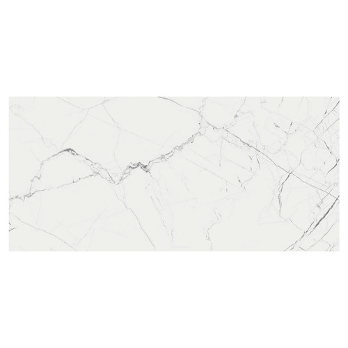 Marmo Thassos White Matt 60cm x 120cm Porcelain Wall and Floor Tile Swatch 6