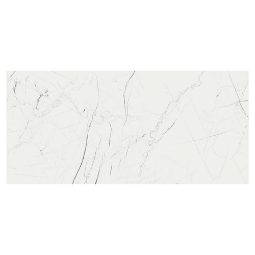 Marmo Thassos White Matt 60cm x 120cm Porcelain Wall and Floor Tile Swatch 7