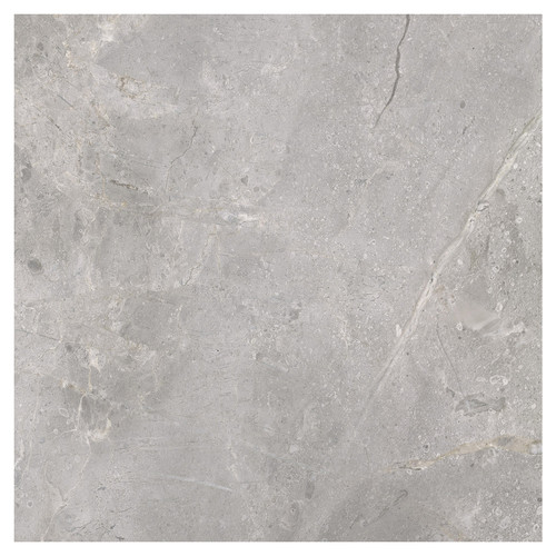 Masterstone Matt Silver 60cm x 60cm Porcelain Wall and Floor Tile Swatch
