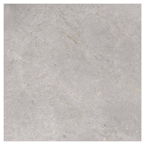 Masterstone Matt Silver 60cm x 60cm Porcelain Wall and Floor Tile Swatch 3