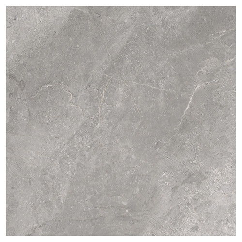 Masterstone Matt Silver 60cm x 60cm Porcelain Wall and Floor Tile Swatch 6