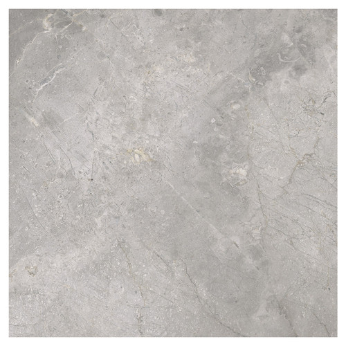 Masterstone Matt Silver 60cm x 60cm Porcelain Wall and Floor Tile Swatch 7