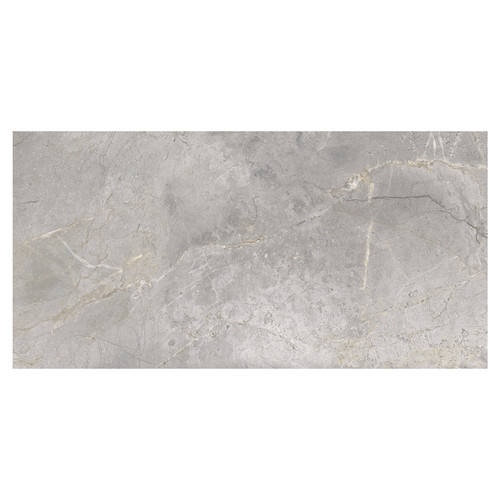 Masterstone Matt Silver 60cm x 120cm Porcelain Wall and Floor Tile Swatch