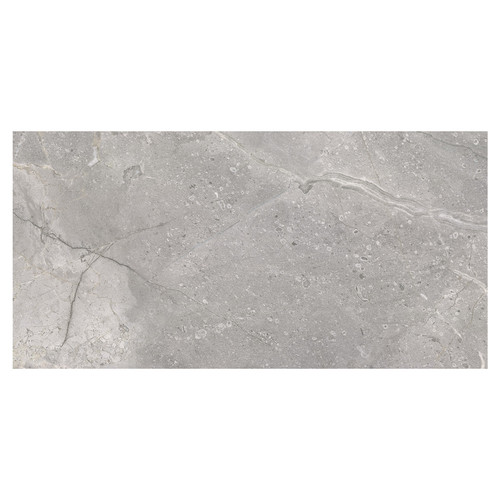 Masterstone Matt Silver 60cm x 120cm Porcelain Wall and Floor Tile Swatch 2