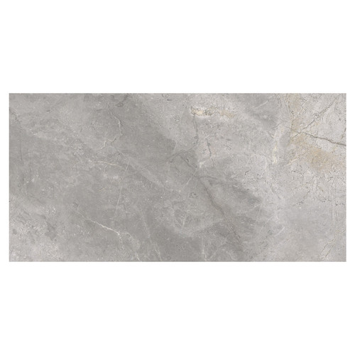 Masterstone Matt Silver 60cm x 120cm Porcelain Wall and Floor Tile Swatch 4