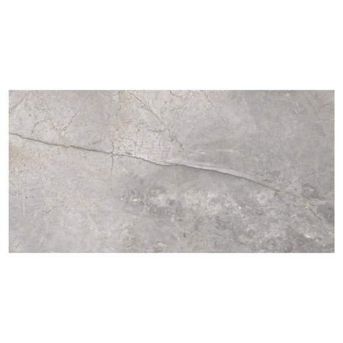 Masterstone Matt Silver 60cm x 120cm Porcelain Wall and Floor Tile Swatch 5