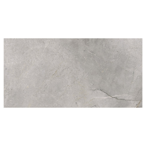 Masterstone Matt Silver 60cm x 120cm Porcelain Wall and Floor Tile Swatch 6