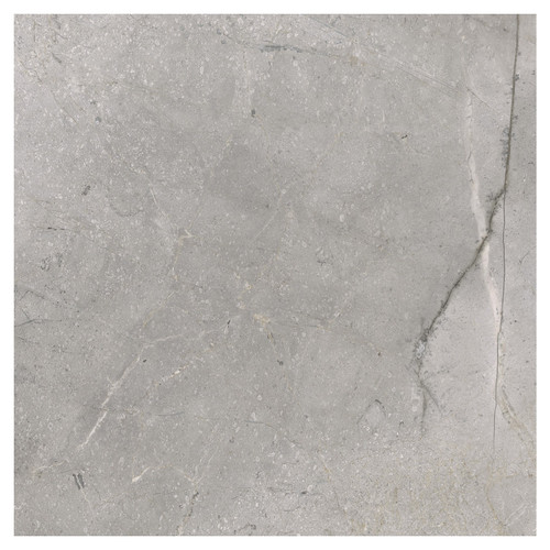Masterstone Polished Silver 60cm x 60cm Porcelain Wall and Floor Tile Swatch 5