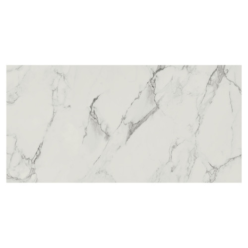 Carrastone Matt White 59.8cm x 119.8cm Porcelain Wall and Floor Tile Swatch