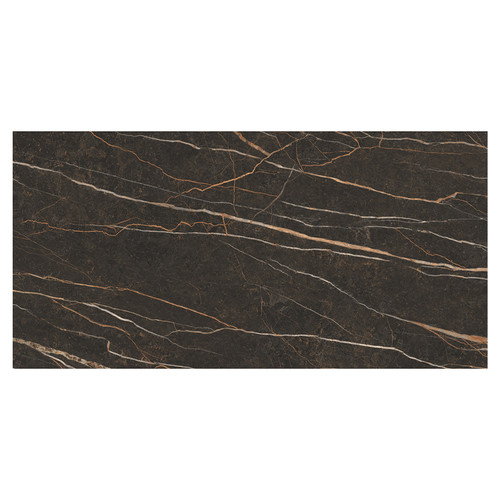 Pleasure Matt Brown 59.8cm x 119.8cm Porcelain Wall and Floor Tile Swatch 2