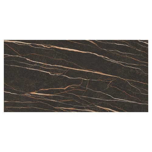 Pleasure Matt Brown 59.8cm x 119.8cm Porcelain Wall and Floor Tile Swatch 4