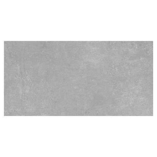 Ark Silver 30cm x 60cm Porcelain Wall and Floor Tile Swatch 6