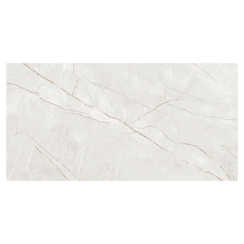 Delbin White 30cm x 60cm Ceramic Wall Tile Swatch 4