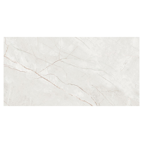 Delbin White 30cm x 60cm Ceramic Wall Tile Swatch 5
