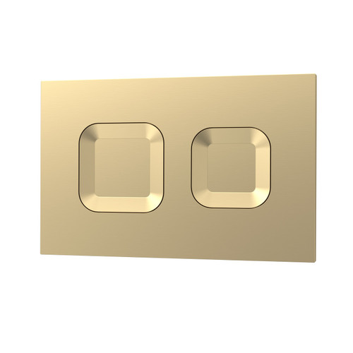 Nuie Brushed Brass Dual Flush Plate with Square Push Buttons - XTY009PS8 Main Image