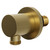 Colore Round Brushed Brass Deluxe Shower Elbow Right Hand Side View