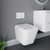 A modern wall hung toilet including concealed cistern and flush plate